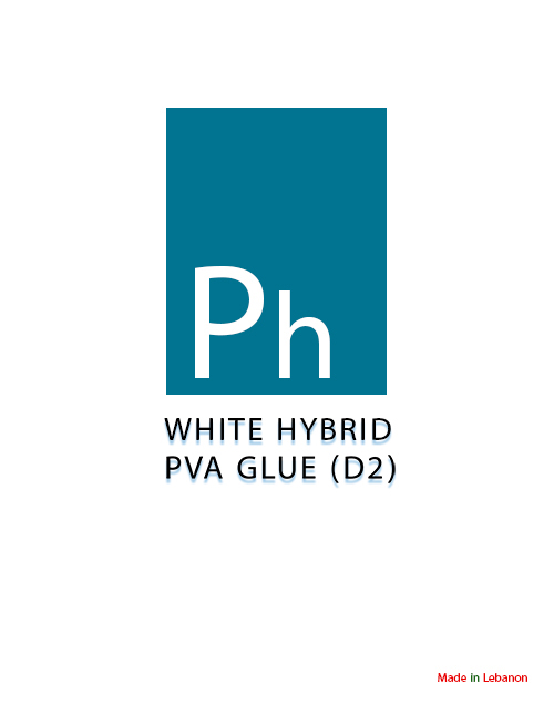 Company Image